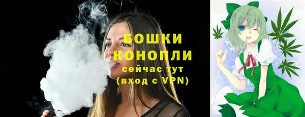 спайс Пестово