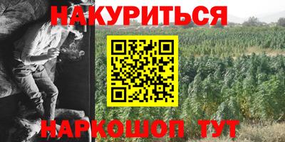 индика Усть-Джегута