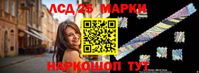индика Усть-Джегута