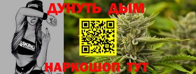 индика Усть-Джегута