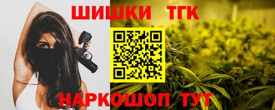 индика Усть-Джегута