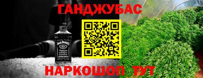 индика Усть-Джегута